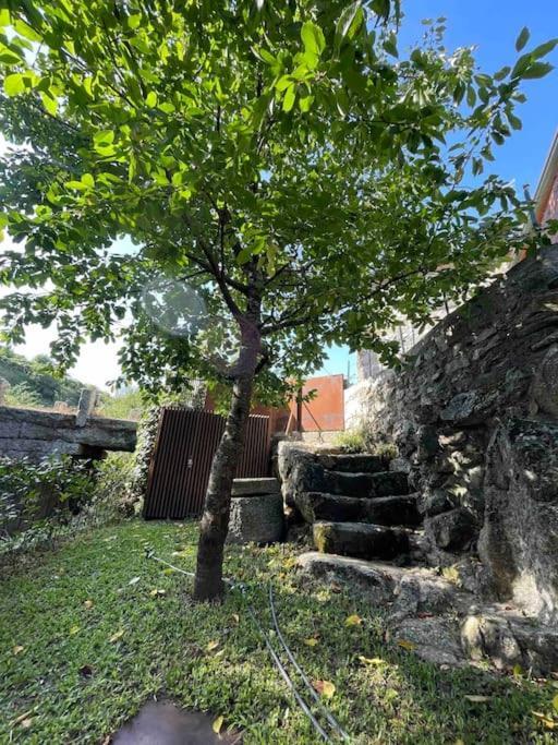 Casa Da Tintim Em Baiao Villa Eksteriør billede