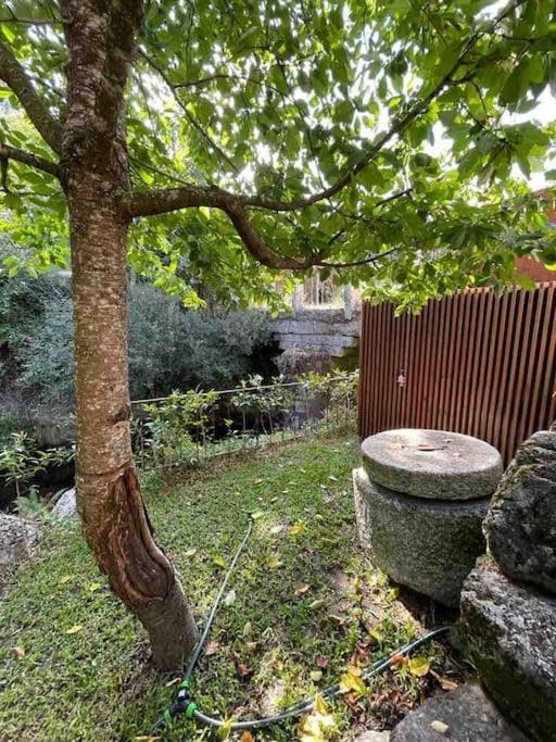 Casa Da Tintim Em Baiao Villa Eksteriør billede