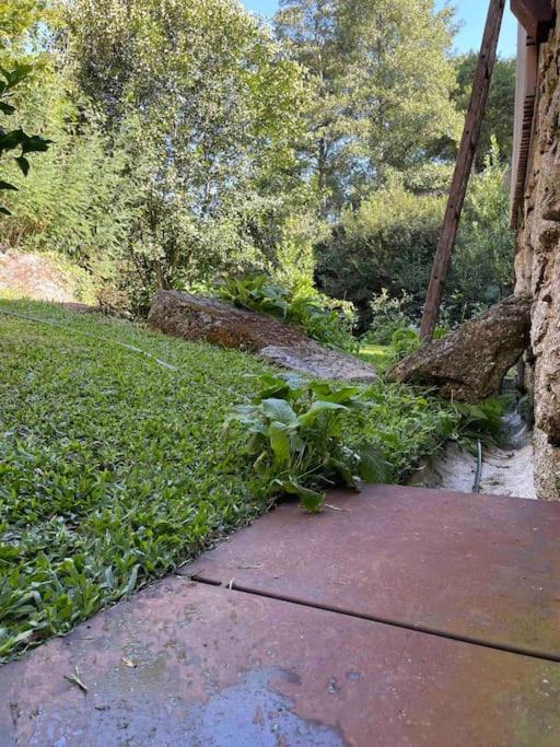 Casa Da Tintim Em Baiao Villa Eksteriør billede