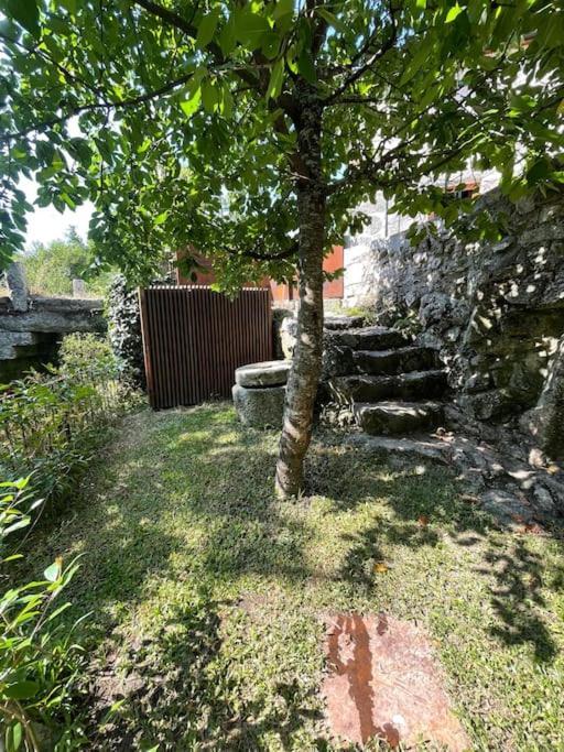 Casa Da Tintim Em Baiao Villa Eksteriør billede